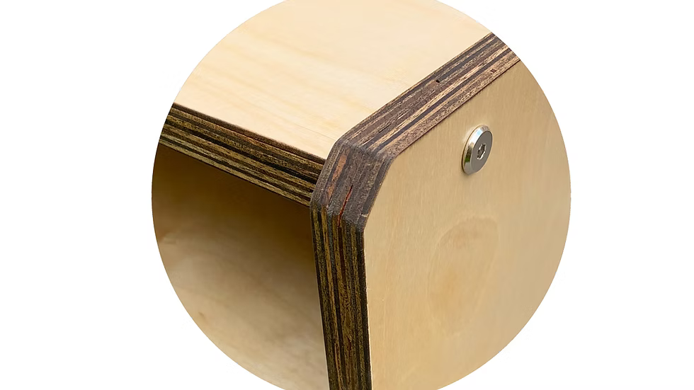Raystag-NR 61 key studio desk-Birch